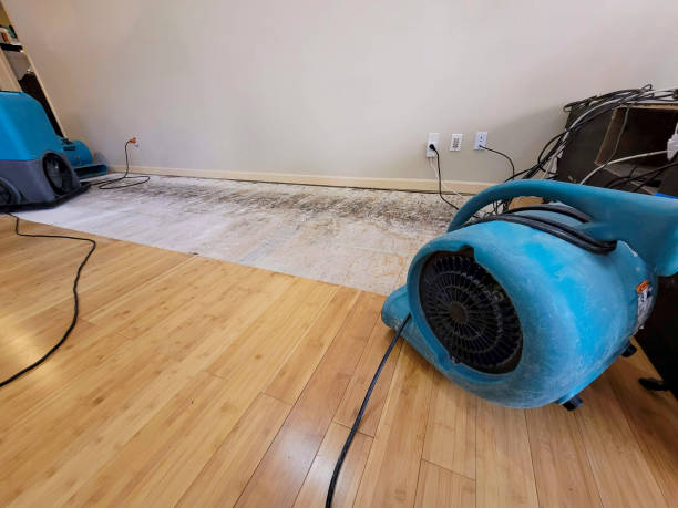 Professional Water Removal technician working in Winthrop, ME